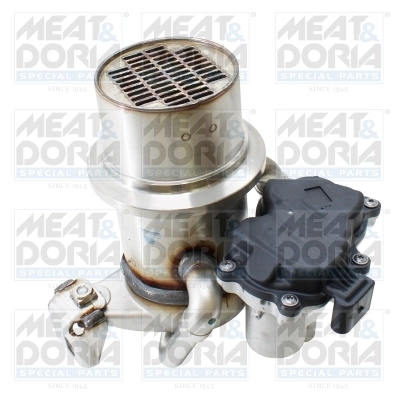 EGR Module